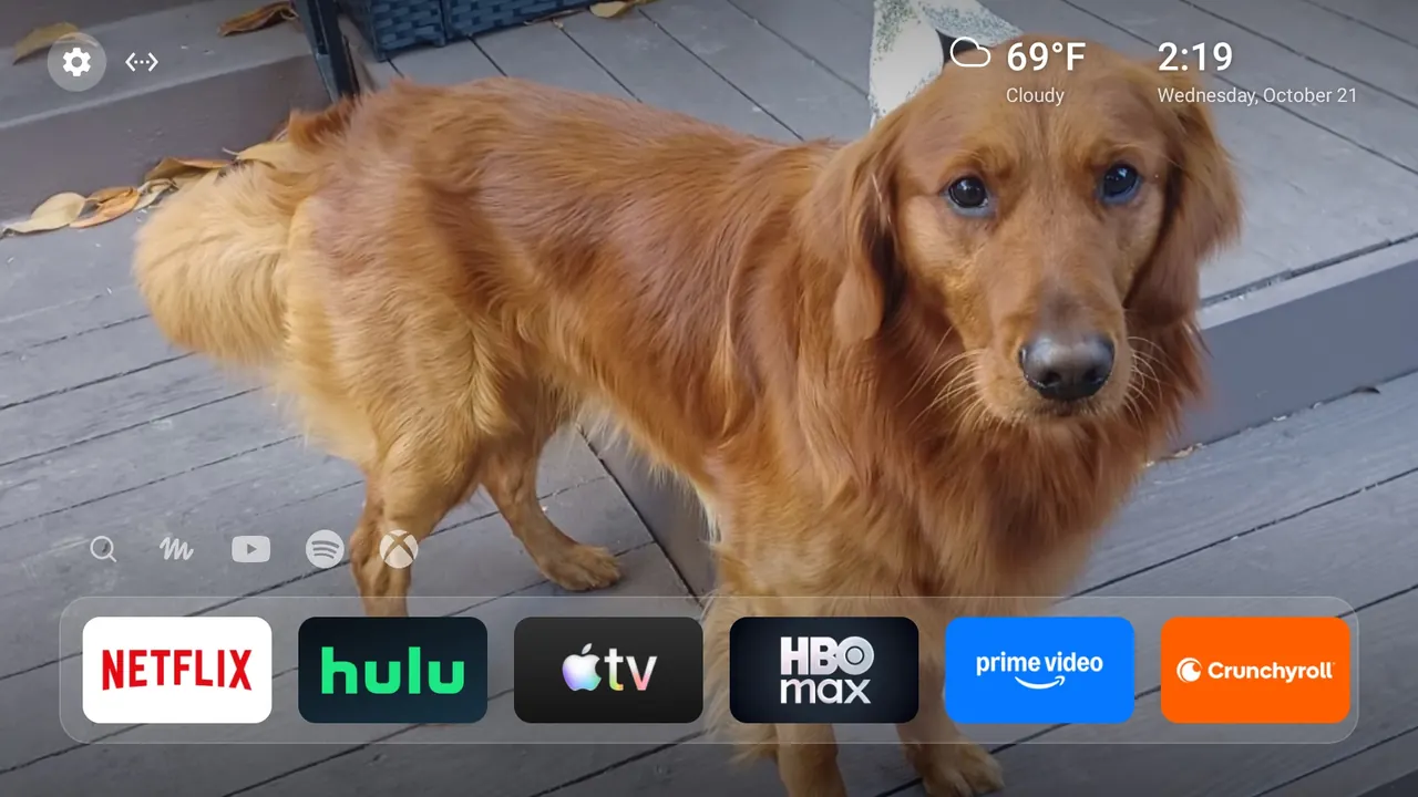 My custom TV launcher's home screen, with a photo of my dog as the wallpaper